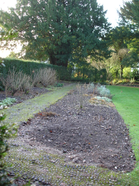 The surviving pebble path with angled ends in the Scented Garden
